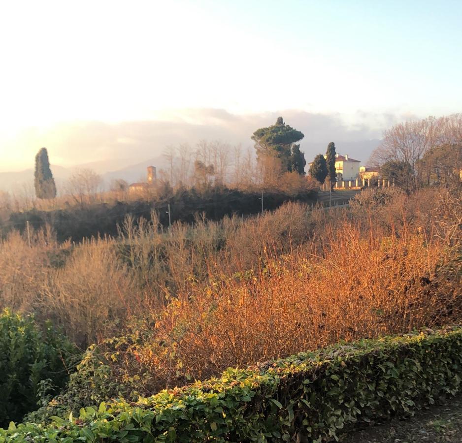 Bed and Breakfast Casa Regis Lessona Exterior foto